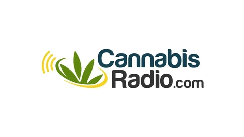 Hero image for Cannabis Radio: The State of Cannabis Vaping after the Crisis of 2019 with Michael Brosgart 