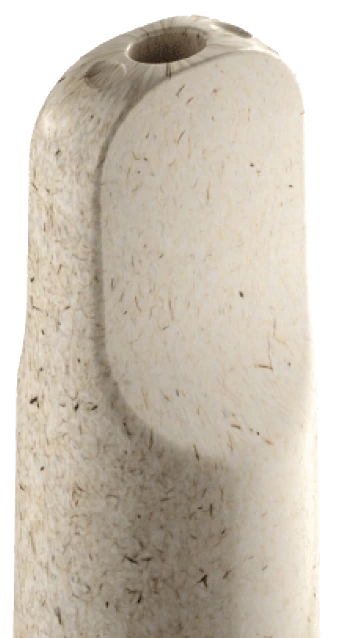 ACTIVE HempZyme™